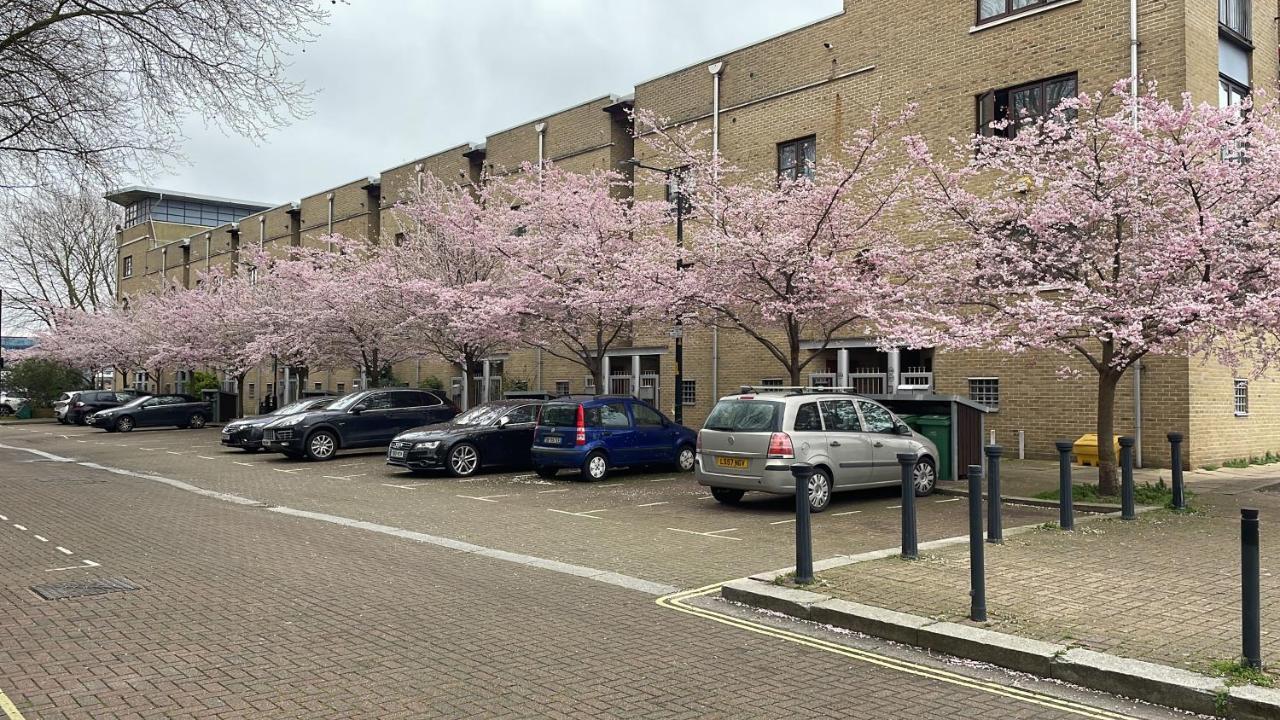 Plough Way Flat Lejlighed London Eksteriør billede
